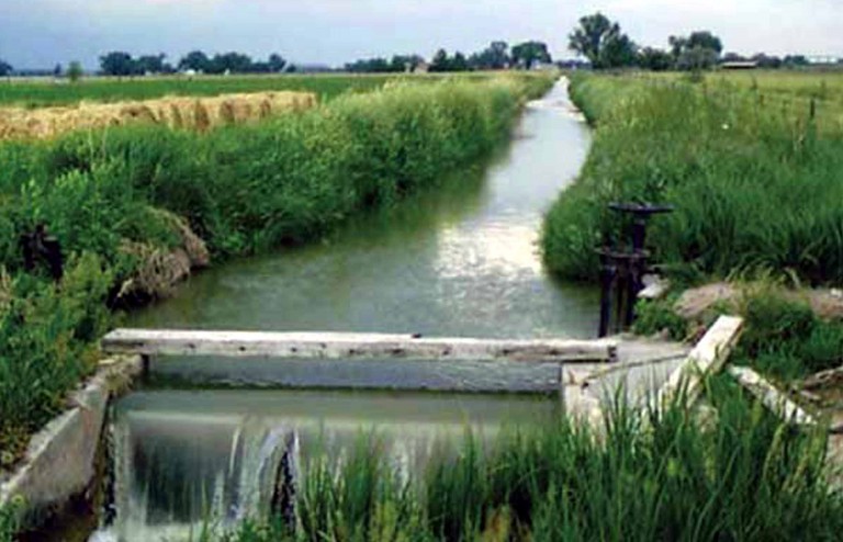 Examining Irrigation in Odisha
