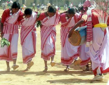 KARMA DANCE – Folk Dances of Chhattisgarh