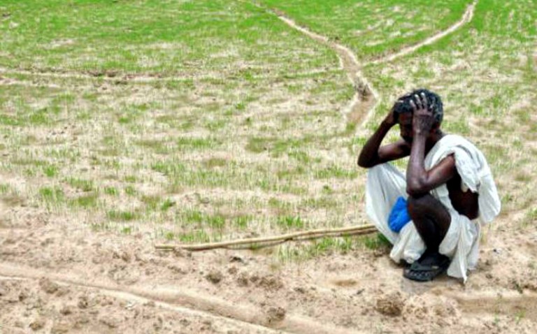 Relief fund will return back from Bargarh