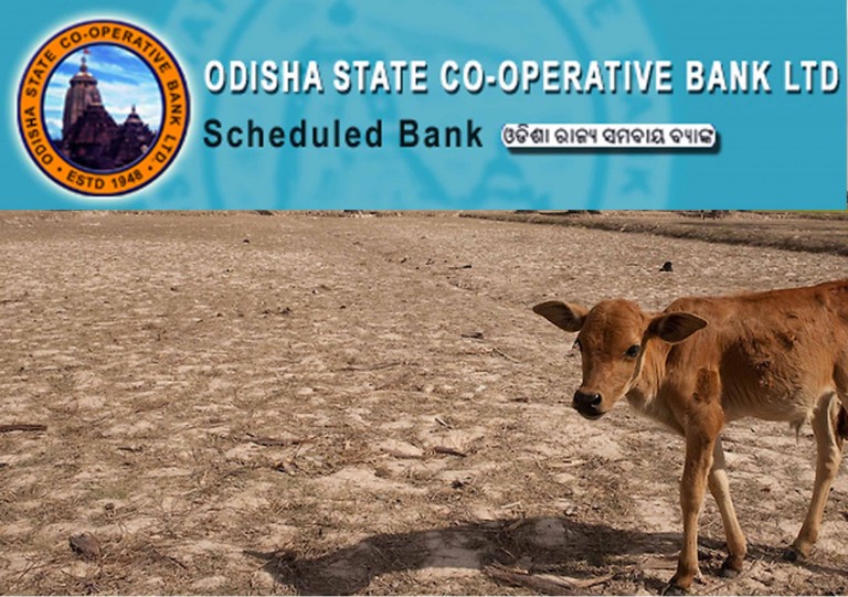 Farmer not availing kharif loan in Odisha
