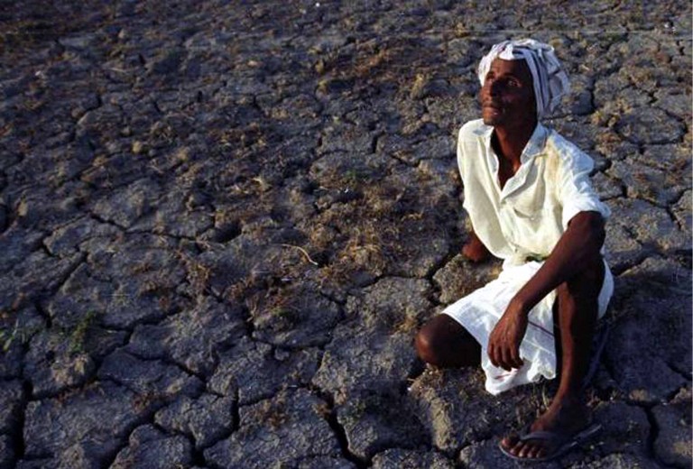 Farming affected due to low rain fall in Sambalpur