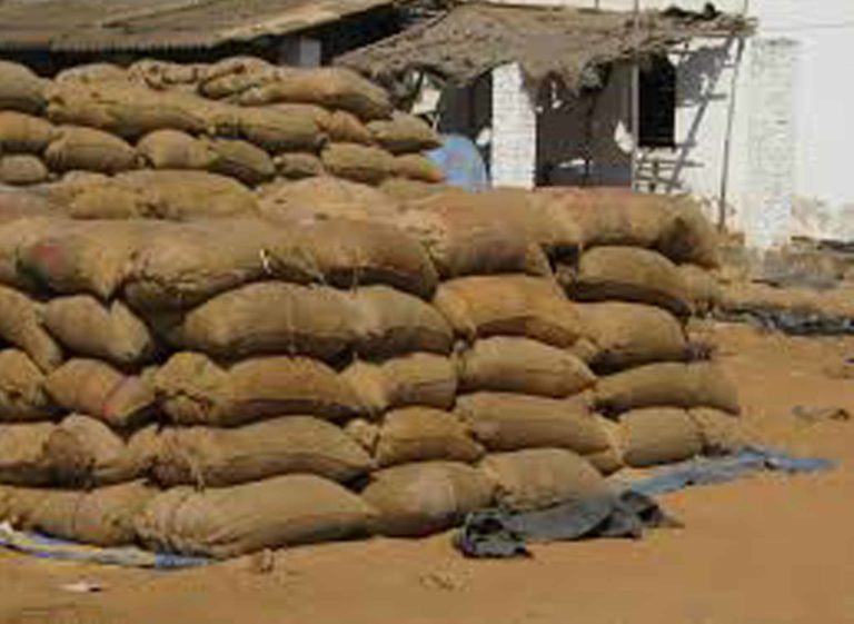 Still mandis not opened, farmers in panic