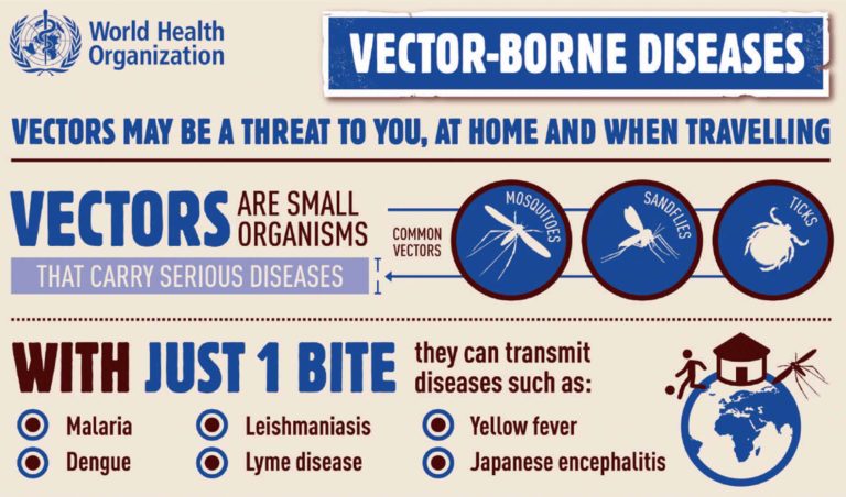 Vector borne diseases on the rise