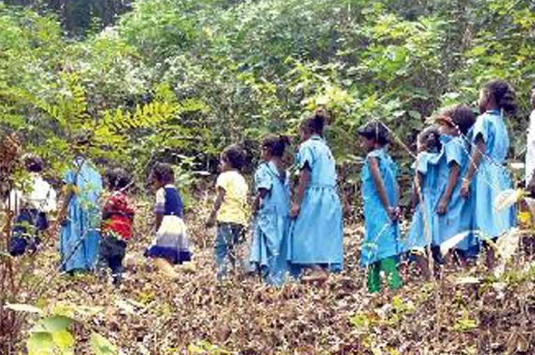 Kids walk rocky road to reach school in Jeypore