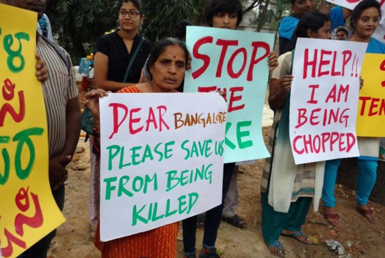 Karnataka government must freeze mass tree felling