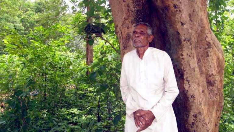 How a 75-year-old tribal man grew a lush forest in impoverished Kalahandi