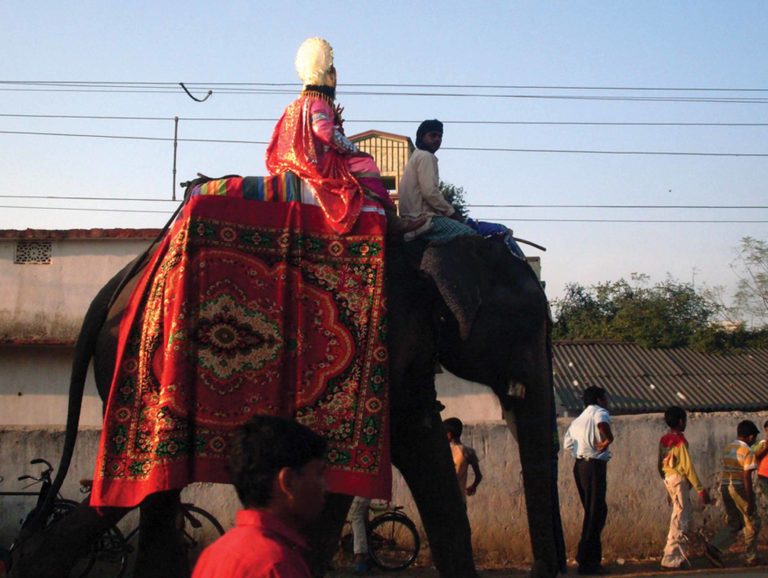 ବରଗଡ ଧନୁଜାତ୍ରା: ପୁରଥିର ସବୁନୁ ବଡ ଖୁଲା ମଚାନ
