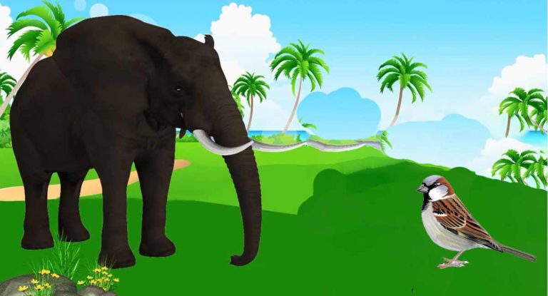 ହାତୀ ଆର ଚଁଟିଆ