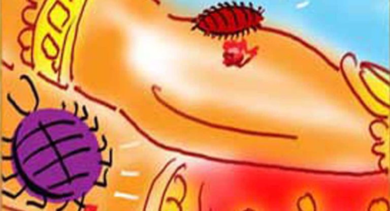 ଉଡଶୋ ଆର ବୁପରା ଉକେନ