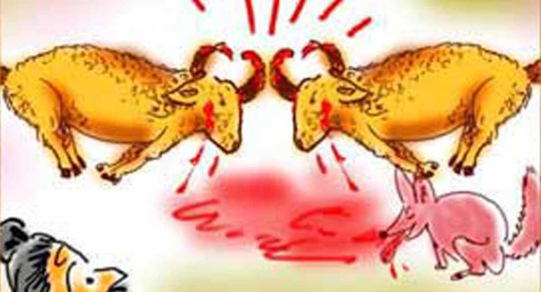 ମାଡ ଲାଗୁଥିବାର ଗର୍ରା ଆର କୁଲିହା