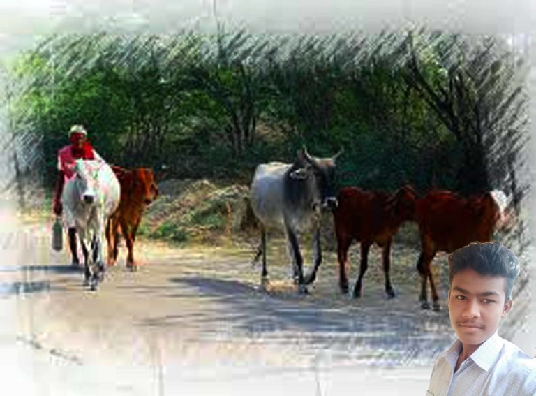 ନରୀୟା ବୁଢା