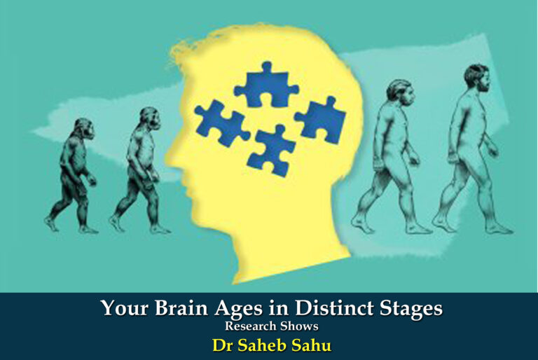 Your Brain Ages in Distinct Stages Research Shows
